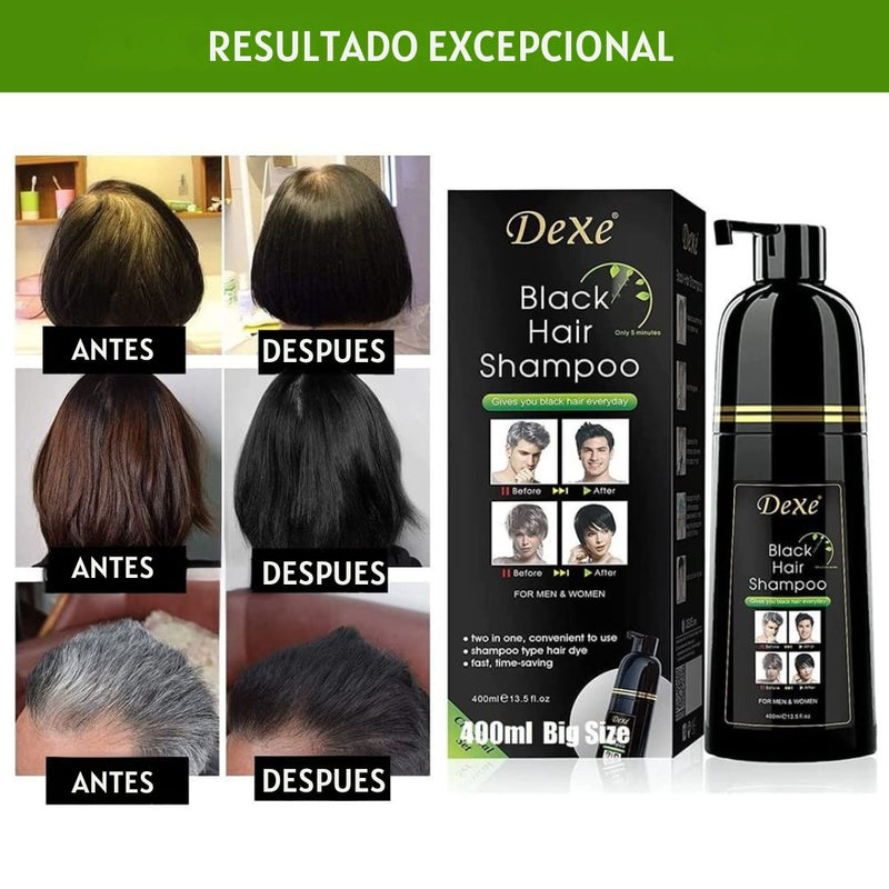 SHAMPOO UNISEX CUBRE CANAS "DEXE"